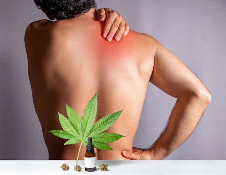 Lire la suite à propos de l’article Le CBD : un remède efficace pour le mal de dos ?